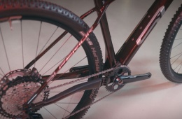 Superior Team 29 Elite Bordowy połyska 